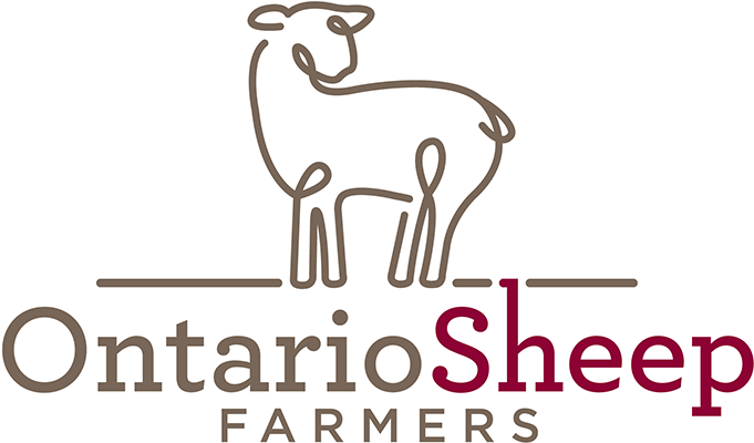 Ontario Sheep