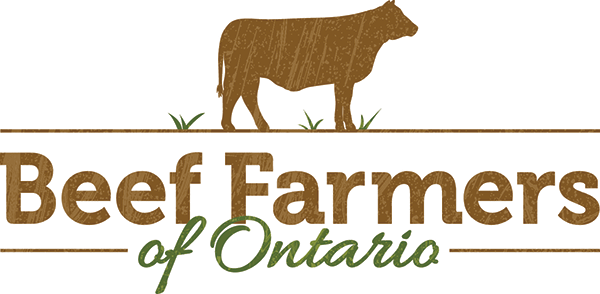 Ontario Beef