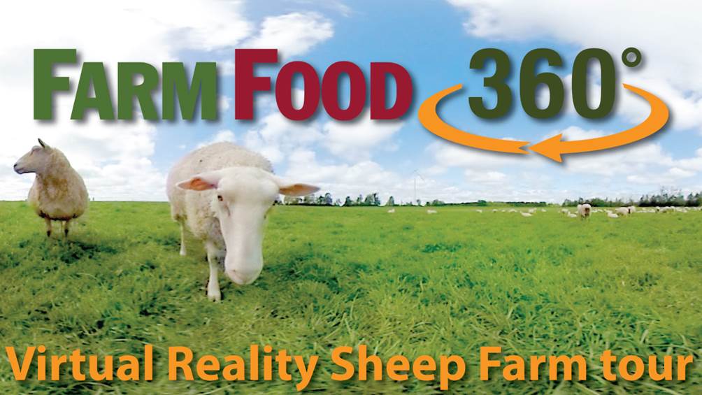 virtual sheep farm tour